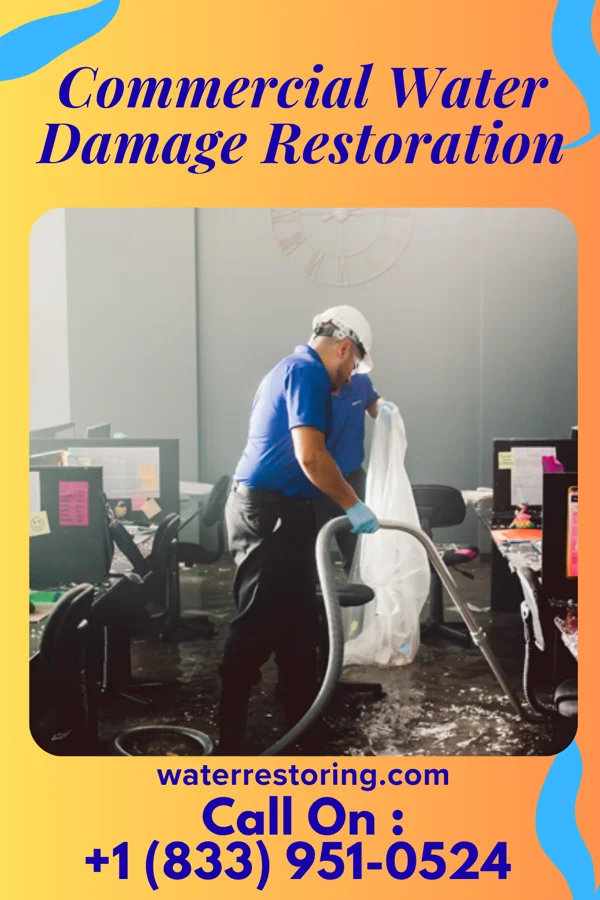 Commercial Water Damage Restoration in Ellendale, DE